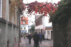 Edenk_05