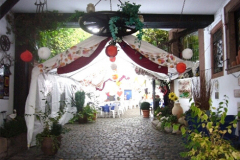 Edenk_12