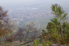 Edenk_25