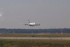 FRA100