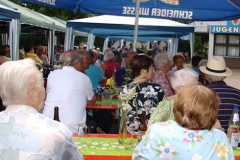 SoFe250714_080