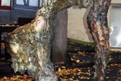 Limburg_130