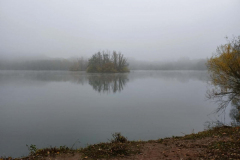 20211111_Wanderungen_02