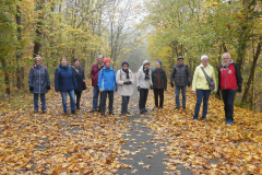 20211111_Wanderungen_03