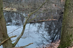 20220113_Wanderungen_04