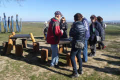 20220310_Wartbaum_01