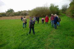 20220414_Wanderung_03