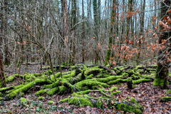 2023 Wanderungen