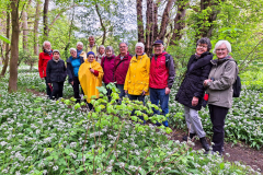 20240425 Bruchköbeler Wald