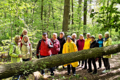 20240425_Bruchkoebeler-Wald_144910