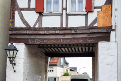 20240725 Eichen