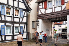 20240725-Eichen_152141