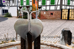 20240725-Eichen_153323