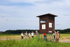 20240725-Eichen_160555