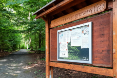 20240725-Eichen_162746