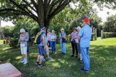 20240822_Maislabyrinth_143041