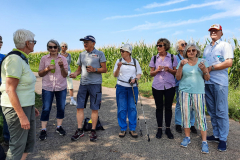 20240822_Maislabyrinth_151330