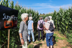 20240822_Maislabyrinth_153314