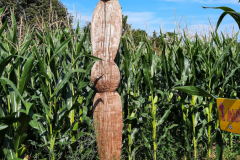 20240822_Maislabyrinth_154251