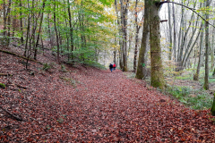 20241024_Rodenbach_151024