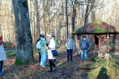 20241128-Weihnachtsmarkt-HU_141403