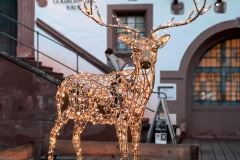 20241128-Weihnachtsmarkt-HU_163235