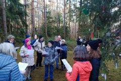 20241226-Rodenbacher-Weihnachtsbaum_152909