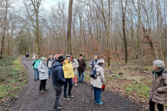 20250123_Wilhelmsbad-Doernigheim_154500