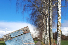 20250227_Kreppelessen_151319-2