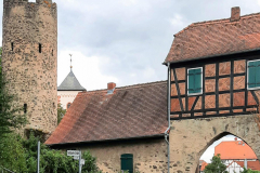 20250724 Storchenborn Roßdorf