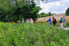 20250724_Storchenborn-Rossdorf_144651