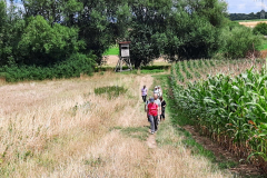 20250724_Storchenborn-Rossdorf_145834