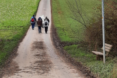 20251127_Wartbaum_144016